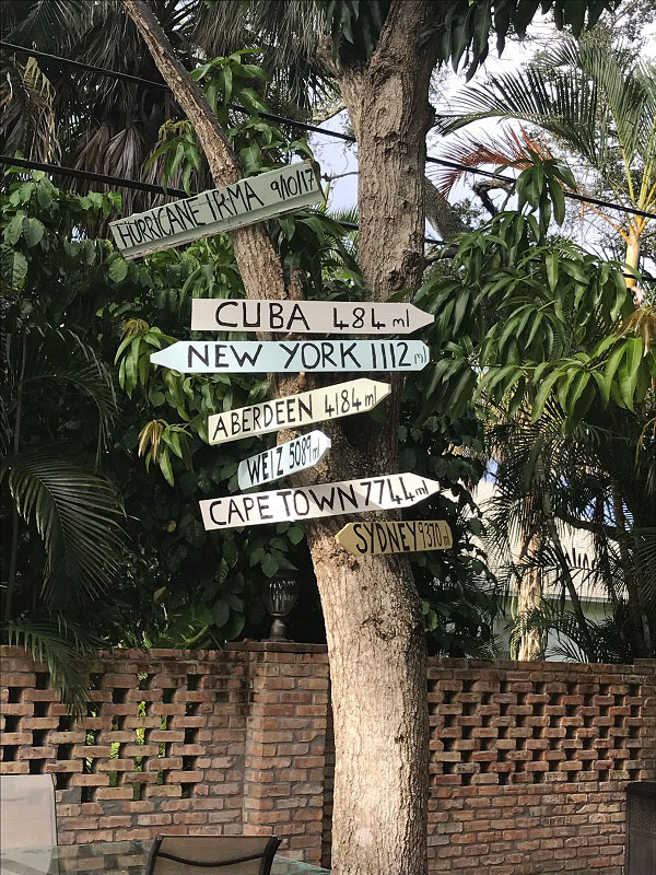 decorative signage on a courtyard tree